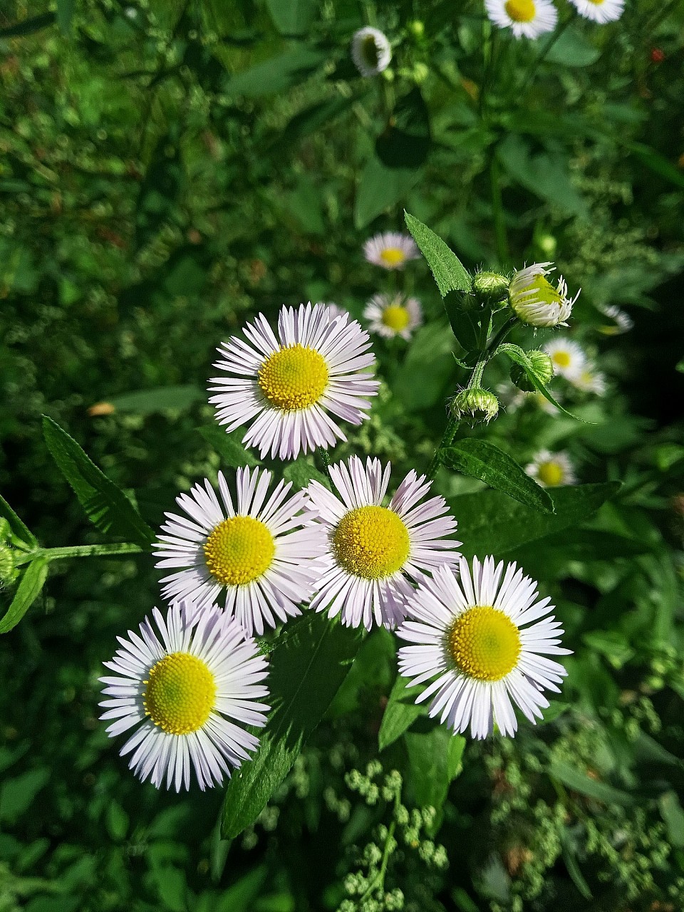 診療カレンダー